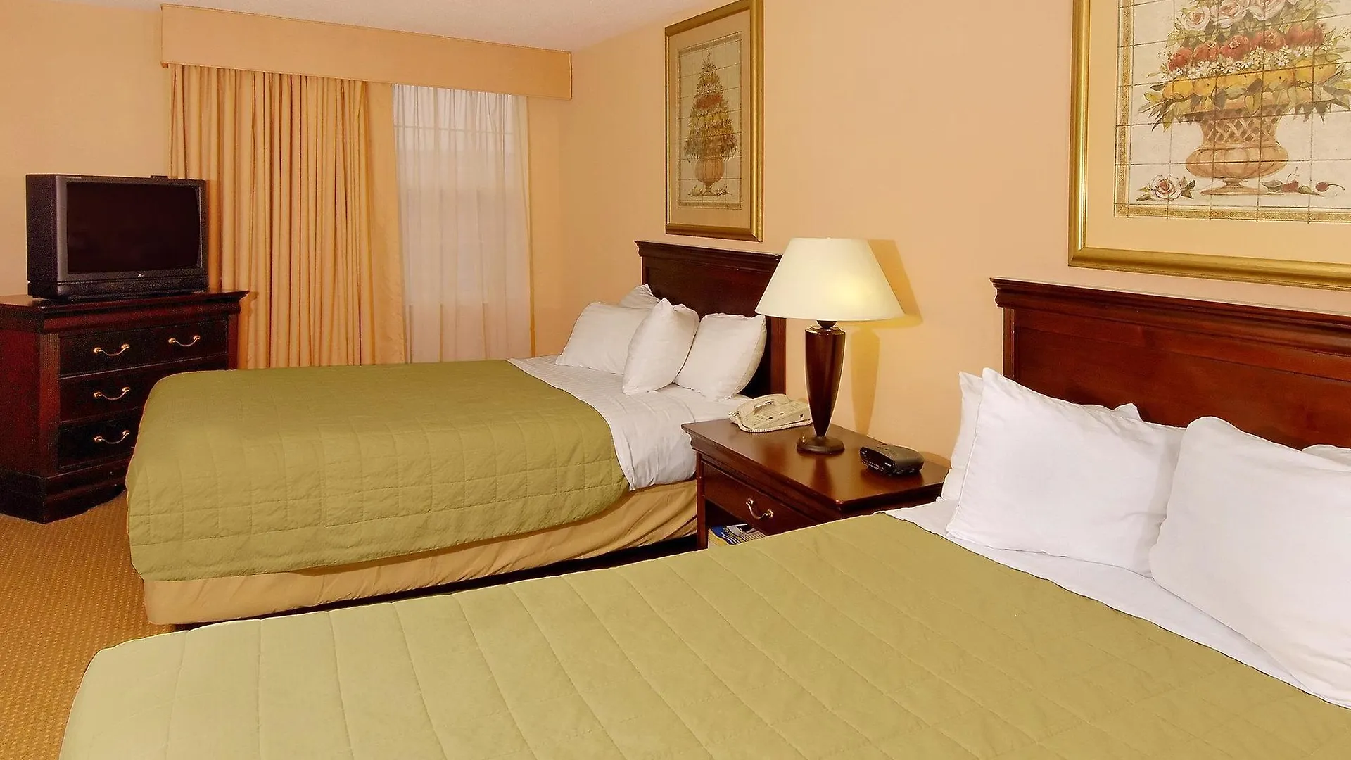 Delta Hotels By Marriott Norfolk Airport