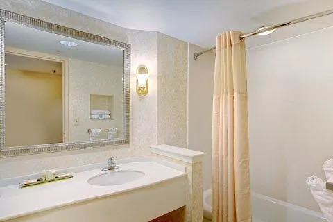 Delta Hotels By Marriott Norfolk Airport 4*,  United States